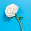 Rosa bianca