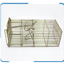 Mouse Catch (4).png