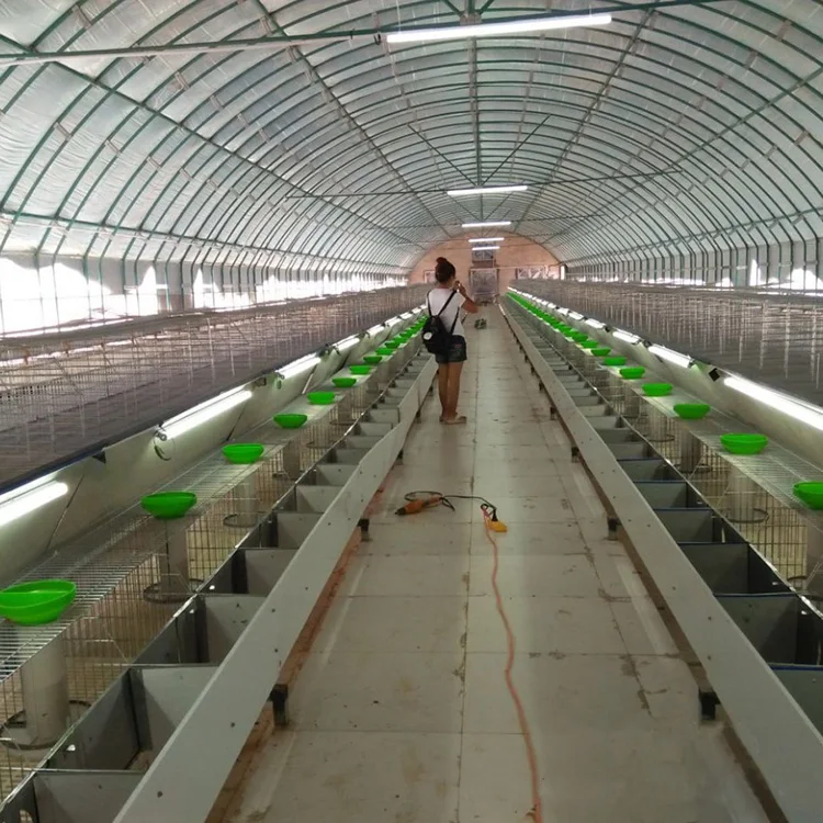 European Style 2 Layers Commercial Rabbit Cage Galvanized Wire Mesh 24