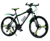 black and green integrated wheel-21-speed suspension fork