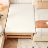 Flatbed with 5cm jacquard fabric coconut mattress