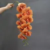Arancione Ruggine
