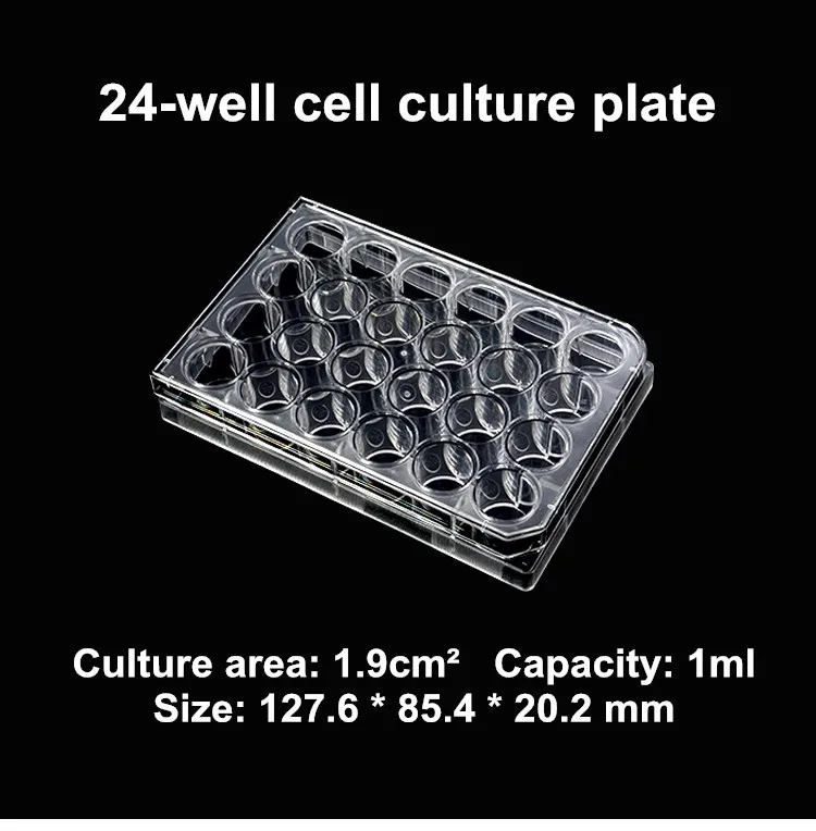 6 Well Tissue Culture Plate Cell Culture Plate With Lid - Buy 6 Well ...