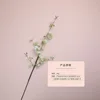 White (encrypted version)