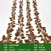 Perilla vine leaves (2 vines per pack)