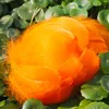 1 naranja