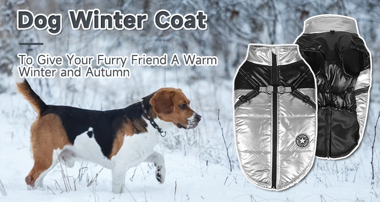 Famicheer Autumn Winter Cotton Dog Designer Coat Waterproof Winter Warm ...
