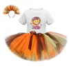 Lion Set 5