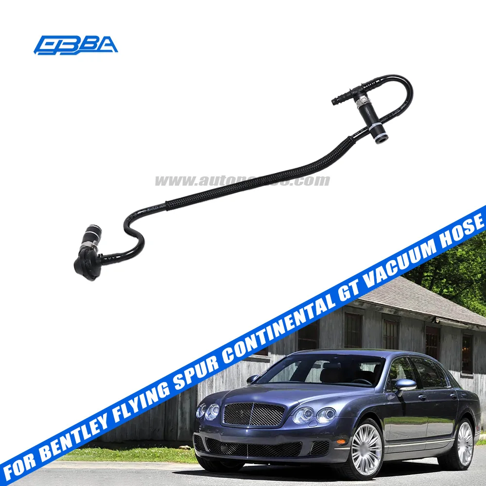 Original Auto Parts Car Vacuum Hose For Bentley Flying Spur 2009 Continental GT OE 3W1612041BT