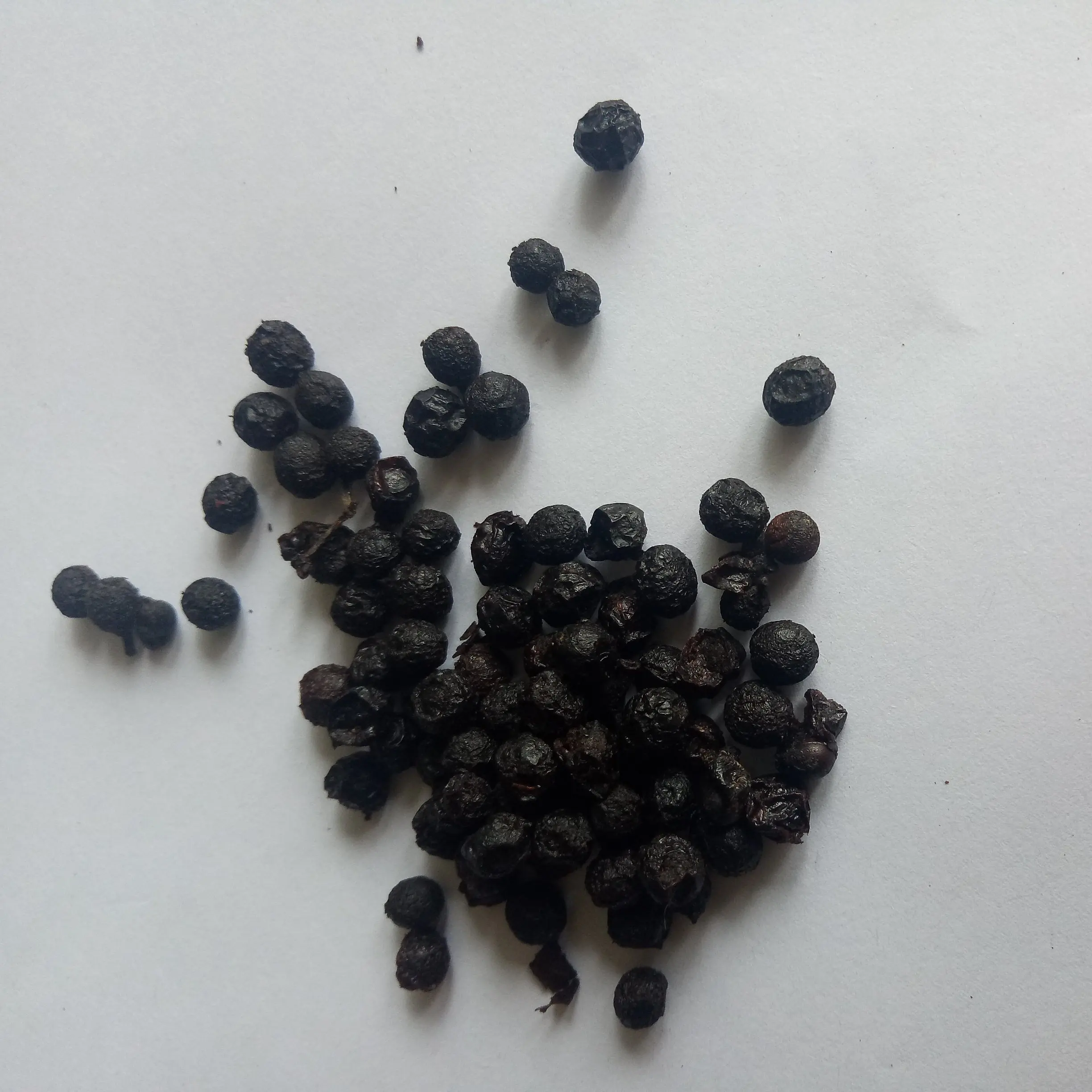 Bi Cheng Qie Dried Fructus Litseae Cubebae Spice Wild Black Fruits Fructus Litseae