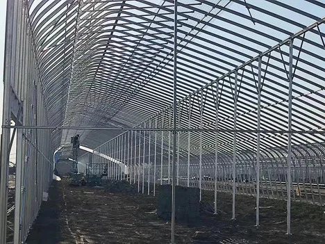 passive greenhouse