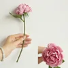 rose violet