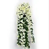 White big four petals