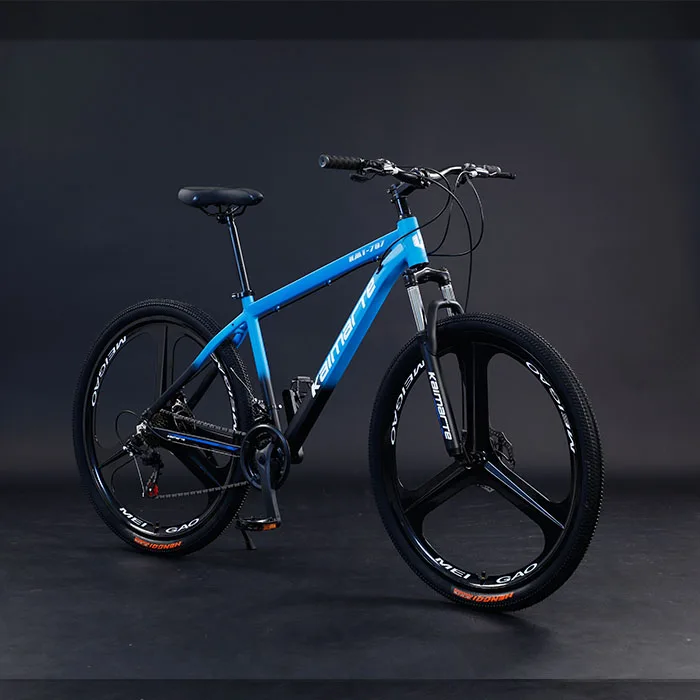 Roue Taille Velo 29 Pouces Adulte Vélo Pas Cher Roues Intégrées