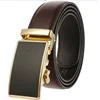 Marrone 0027