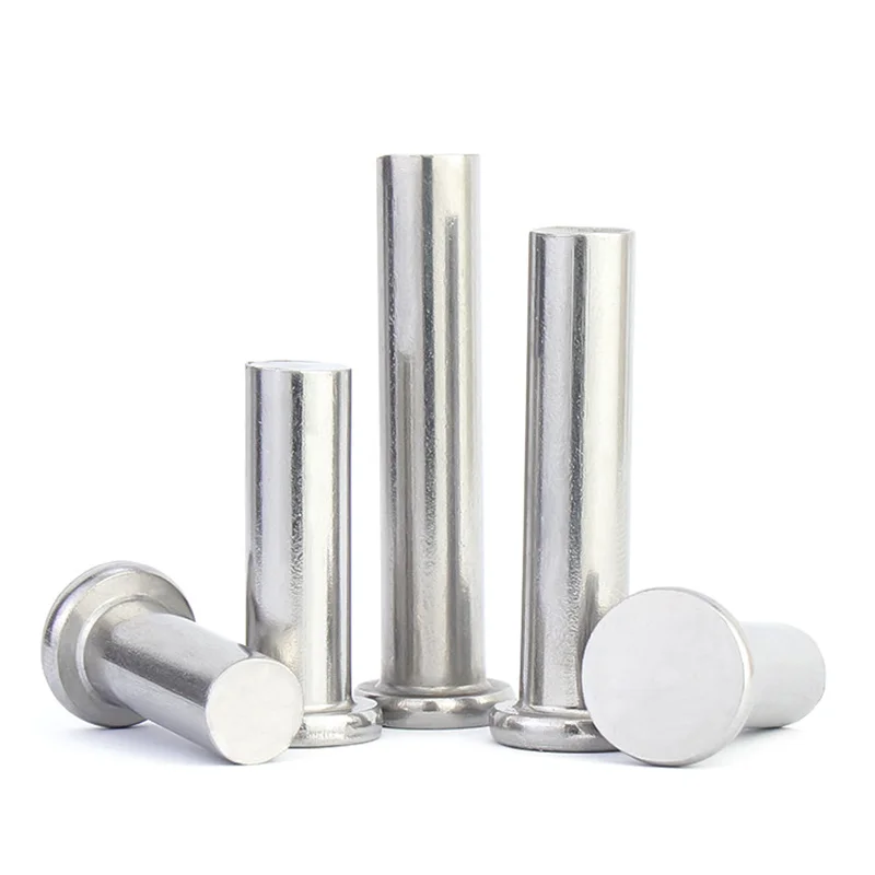 Din7338 Gr4.8/8.8/10.9/12.9 3-10mm Zinc Galvanized Hdgi Solid Rivet ...