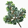 Foglie di banyan sovraincollate bianche