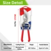 21CM With Package