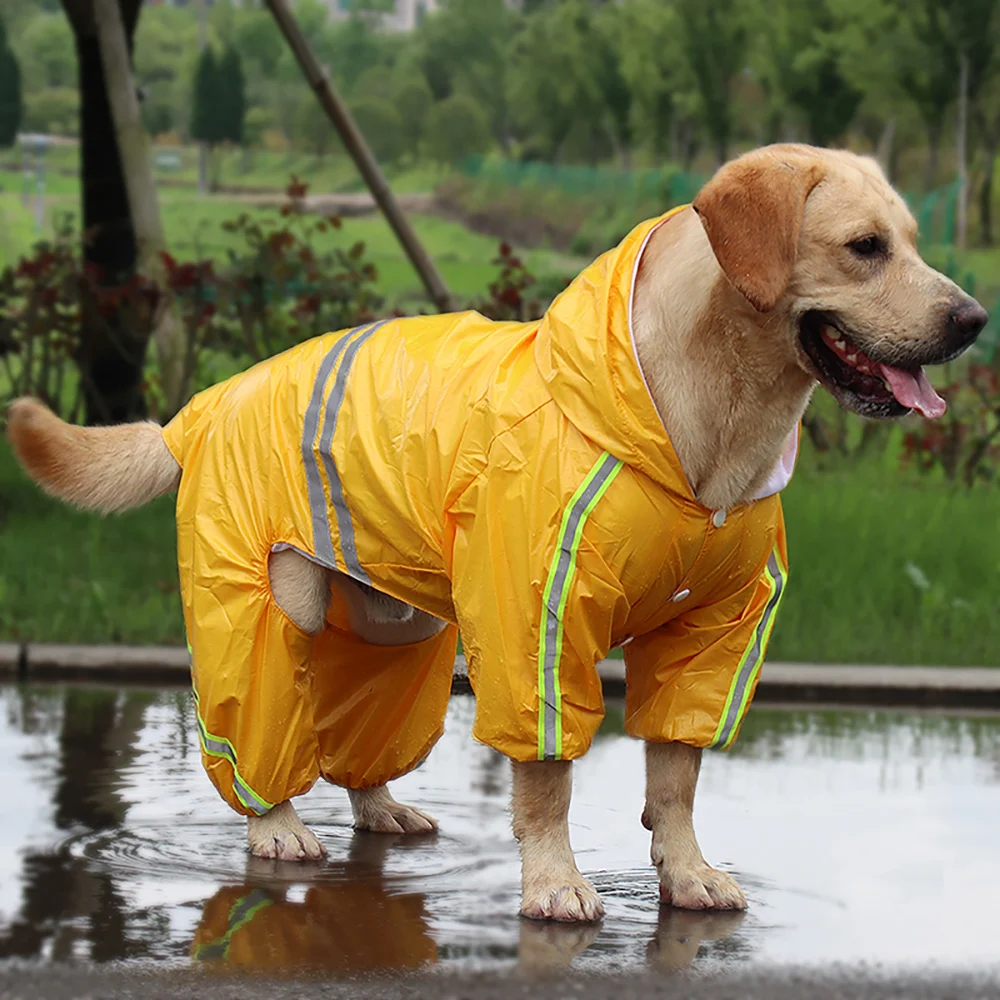 dog raincoat online