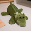 crocodile