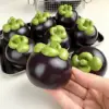 Purple Mangosteen Sculpting Toy [Building Block Version]