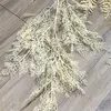 New mist champagne