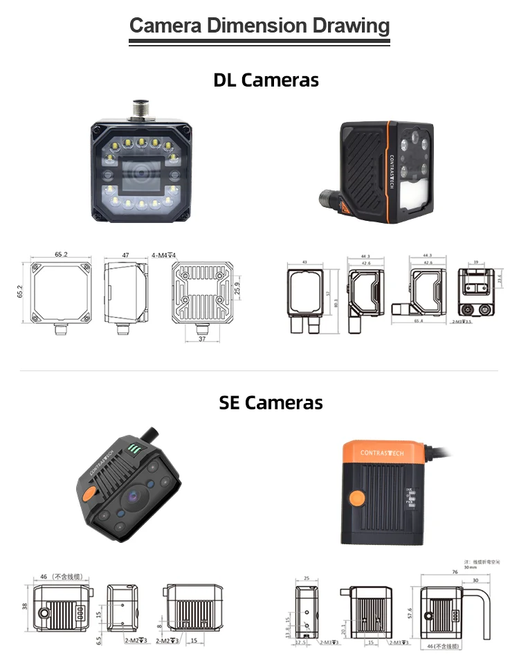 Cost-effective Image Analysis with AI Vision System