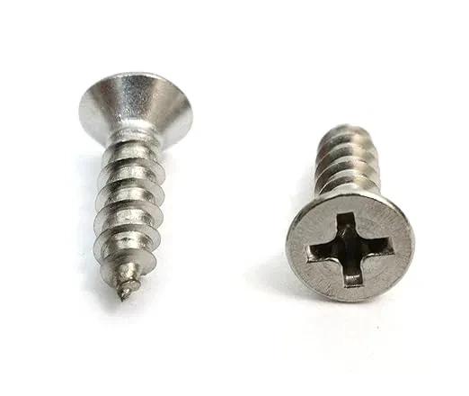 Custom Size Stainless Steel Countersunk Cross Recessed Self-Tapping Cap Head Bolts for Building Applications