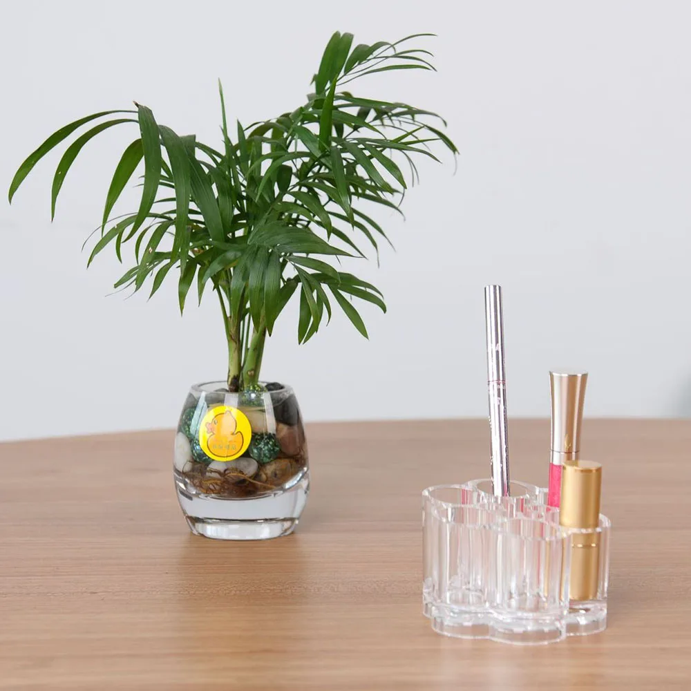 Cross Border Plum Blossom Shape Storage Cosmetic Display Accessories Portable Makeup Organizers