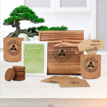 2021 NEW arrive Bonsai Tree Seed Starter Kit Mini Bonsai Plant Growing Kit Indoor Garden Gardening Gifts Ideas