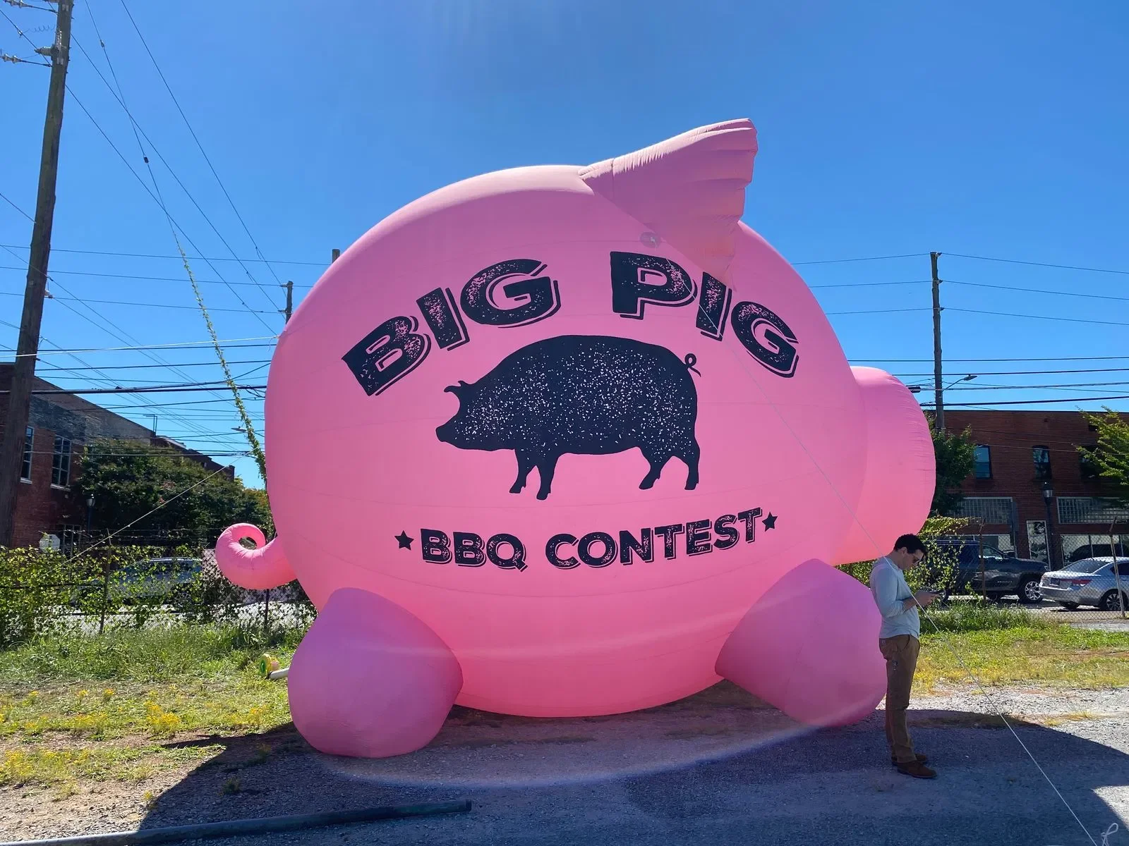 High Quality Custom Advertising Inflatable Cartoon Pig Huge Mascot Cartoon Inflatable Character Advertising Pig Balloon