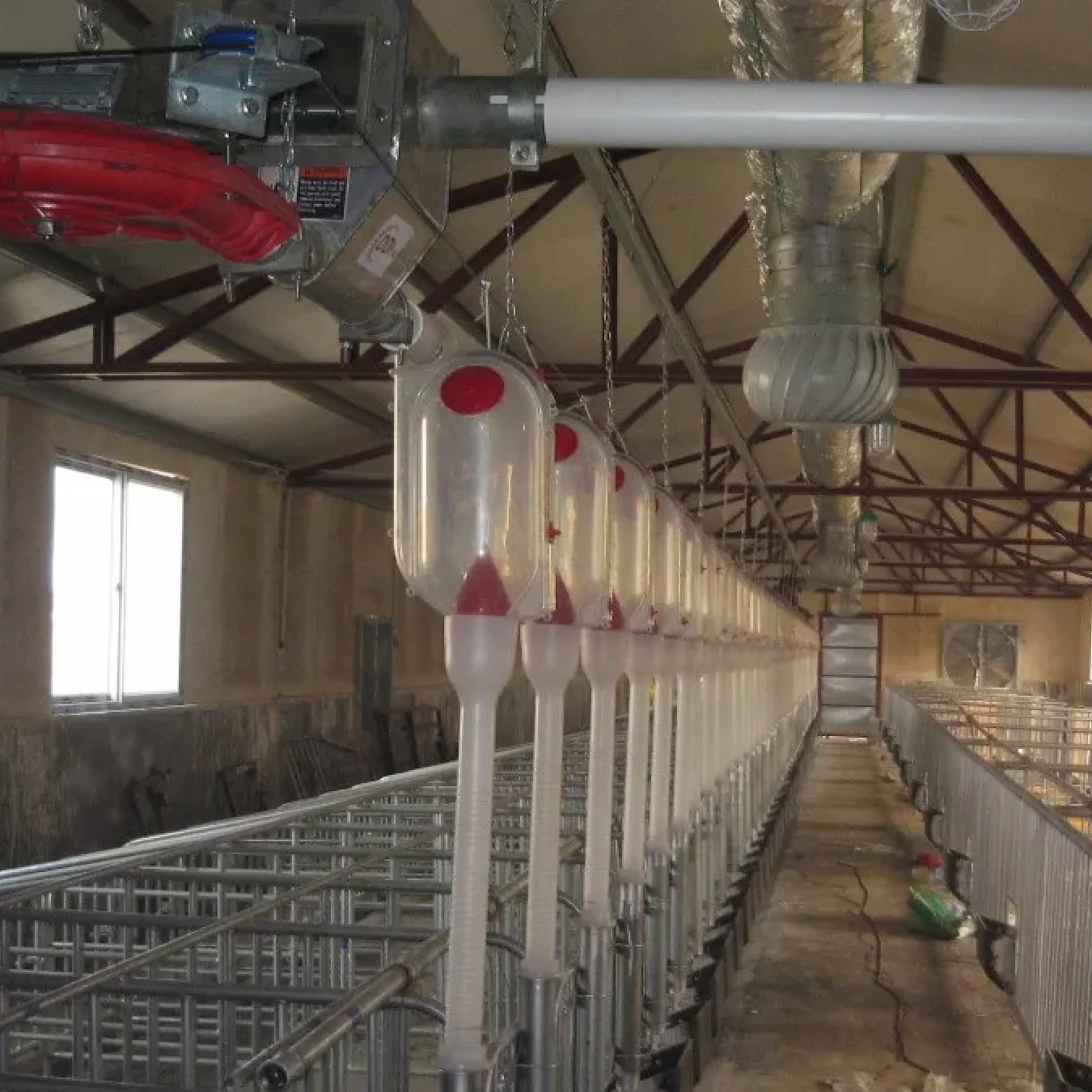 Factory Production Pig Feed Dispensers For Agriculture Livestock