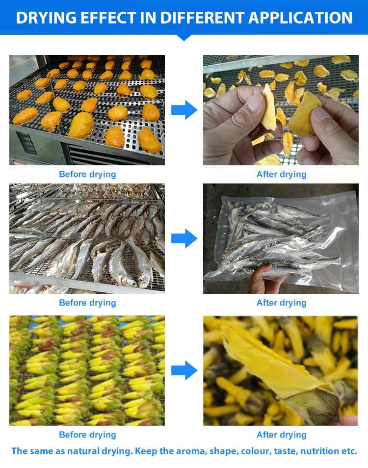 Hot Air Tea Konjac Vegetable Leaf Seed Drying Machine Chamber Dry Oven Saffron Briquette Batch Hemp Herb Dryer Secador De Fruta