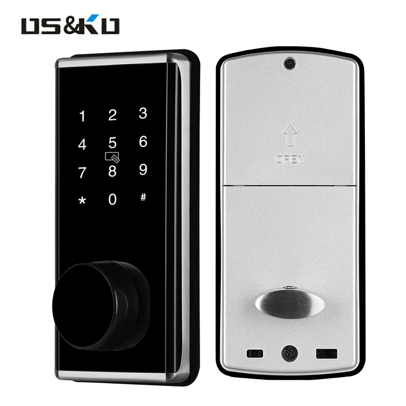 Large Panel Smart Door Lock for Disabled Face Recognition Module Alarm Existing Key for Wood Doors Cloud Data Storage Options