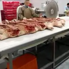 Complete meat cutting and conveying lines including sorting, trimming and material handling systems