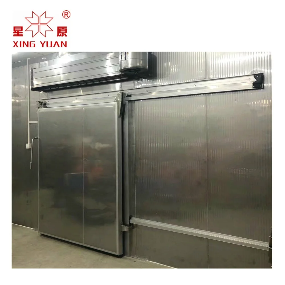 Cold Room Cold Storage Manual Sliding Door with PU Insulation