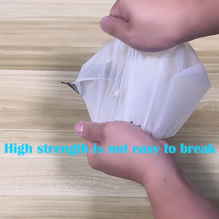 Free Personalized Custom Printing Brand Logo Poly Eva Frosted Zip Lock Packaging Bag for Clothing