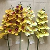Giallo chiaro145 cm