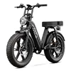 Bicicletta Elettrica Nera (e-bike a 2 posti)