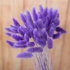 Couleur de Modène