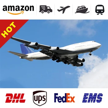 Shipping company freight forwarder logistics amazon DHL UPS TNT service from China to New York USA