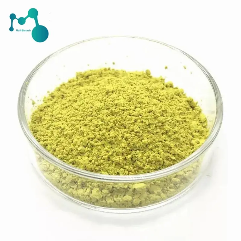 Iso Factory Supply Kaempferia Galanga Root Extract Cas 520183 Fructus