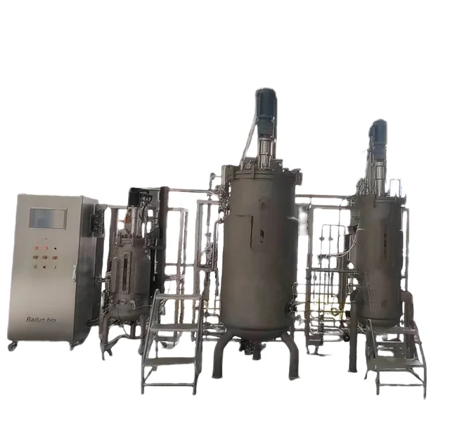 EU standard High quality 20-50-500L three stage Mechanical stirring Bioreactor BLBIO 20-50-500SJA for Laboratory