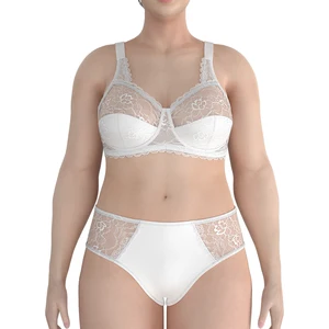 Luxury Lace Lingerie Set for Women Plus Size Sexy Hot See-Through Bra and Panty with Machine Embroidery Decoration