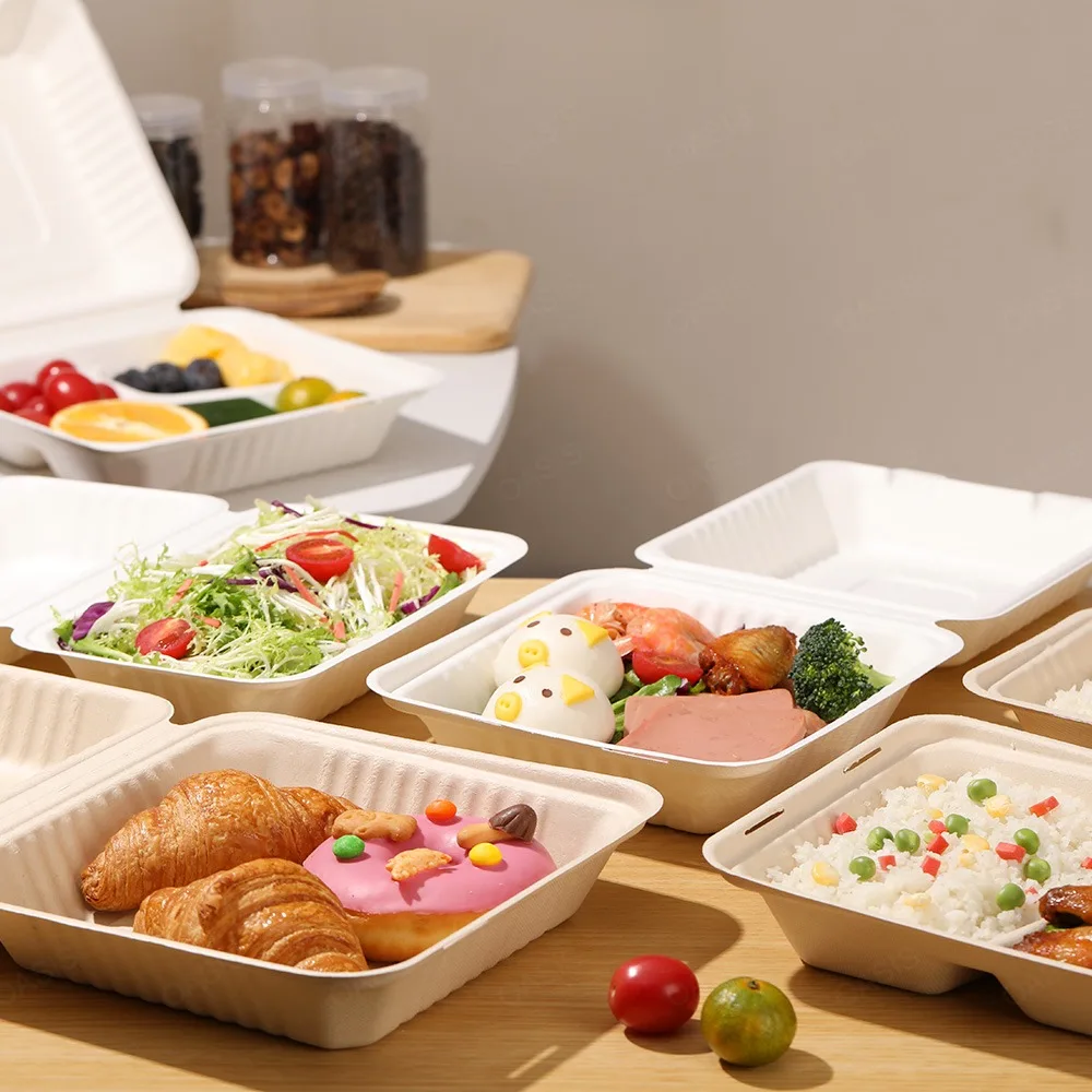 Oasis Manufacture Factory's Compostable Biodegradable Disposable Buger Pulp Paper Box Greaseproof for Food for Sushi Packaging