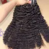 birmano rizado 1