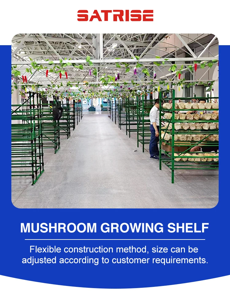 Oyster Mushroom Cultivation Equipment Shiitake Mushroom Growing Shelves