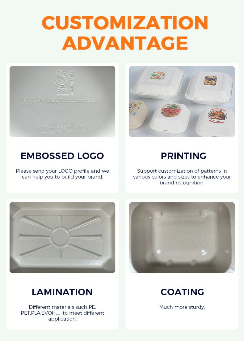 European 6 Inch Disposable Locking Takeaway Box OK Compost Certified ...