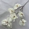 Blanc, Ruth