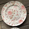 pink  plate